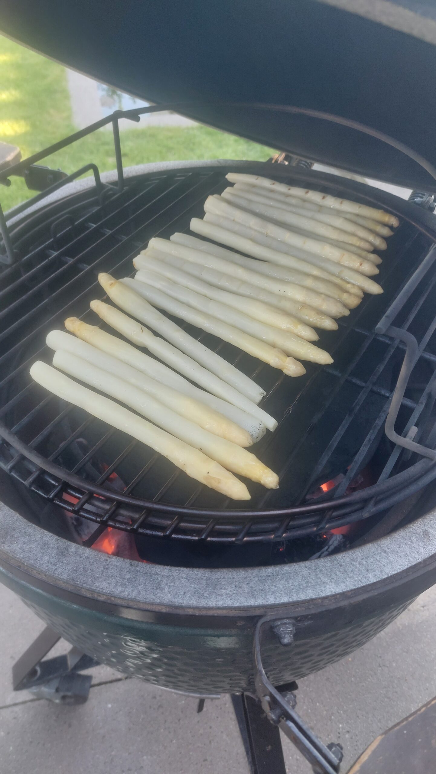 Chef aan huis Dordrecht voor een BBQ walking dinner & diner thuis